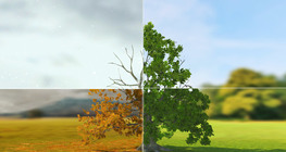 Англи царс (суурь мэдээлэл)