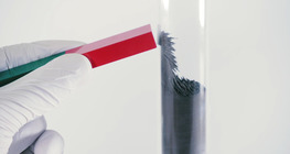 Fizičke i kemijske promjene. Reakcija između željeza i sumpora