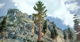 Аварга секуа