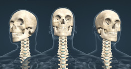 Толгойн хөдөлгөөнүүд