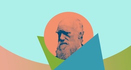 Evolúció, ahogyan a saját testeden tapasztalhatod