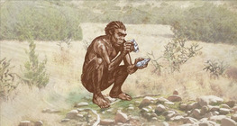 The evolution of humanity Part I - Venturing down from the trees