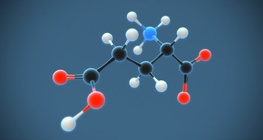 Глутамины хүчил