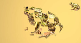 3D эргэдэг тоглоом