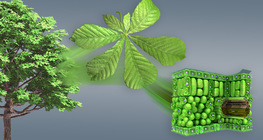 Навчны бүтэц