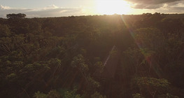 Az egyenlítői éghajlat