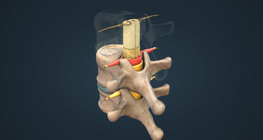 Нугасны бүтэц