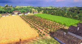 Газар тариалангийн арга техникүүд