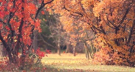 Az évszakok változása