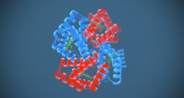 Гемоглобин