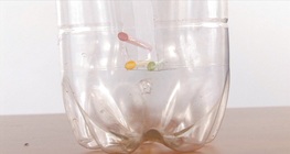 Lebegő szívószálak