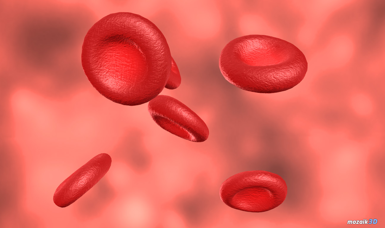 3D animation for teaching about human blood