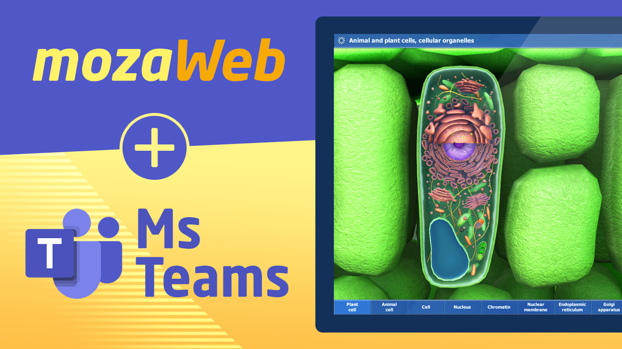 MS Teams integration of our digital educational solutions