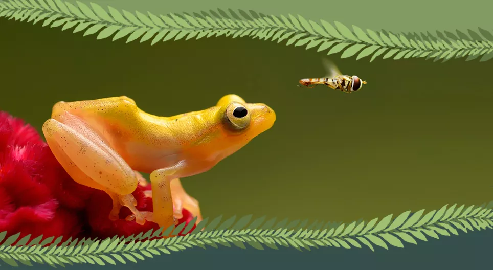 Хребетні чи безхребетні?