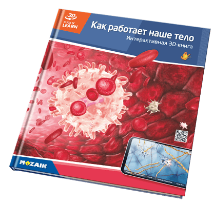 Book MS-6409-RU