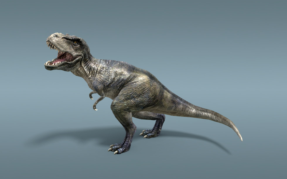 Anatomiyasi