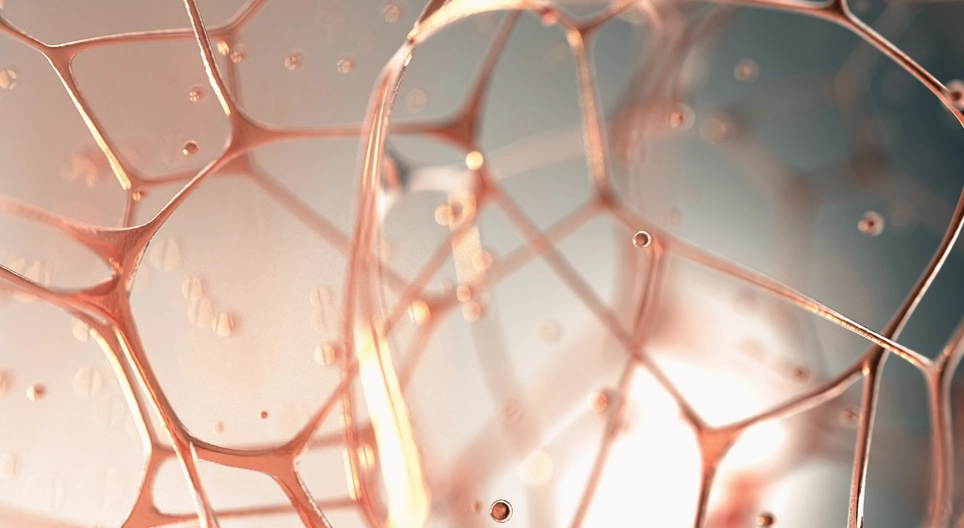 Viscoelastic behavior of the connective tissues