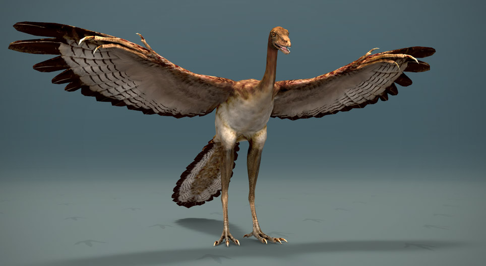 Chim cổ Archaeopteryx
