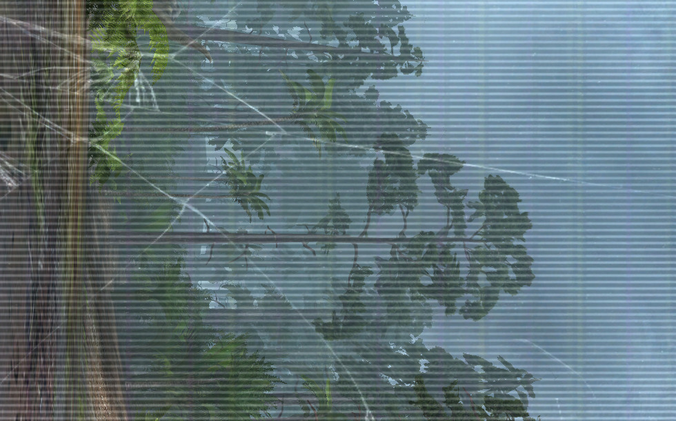 来见见霸王龙